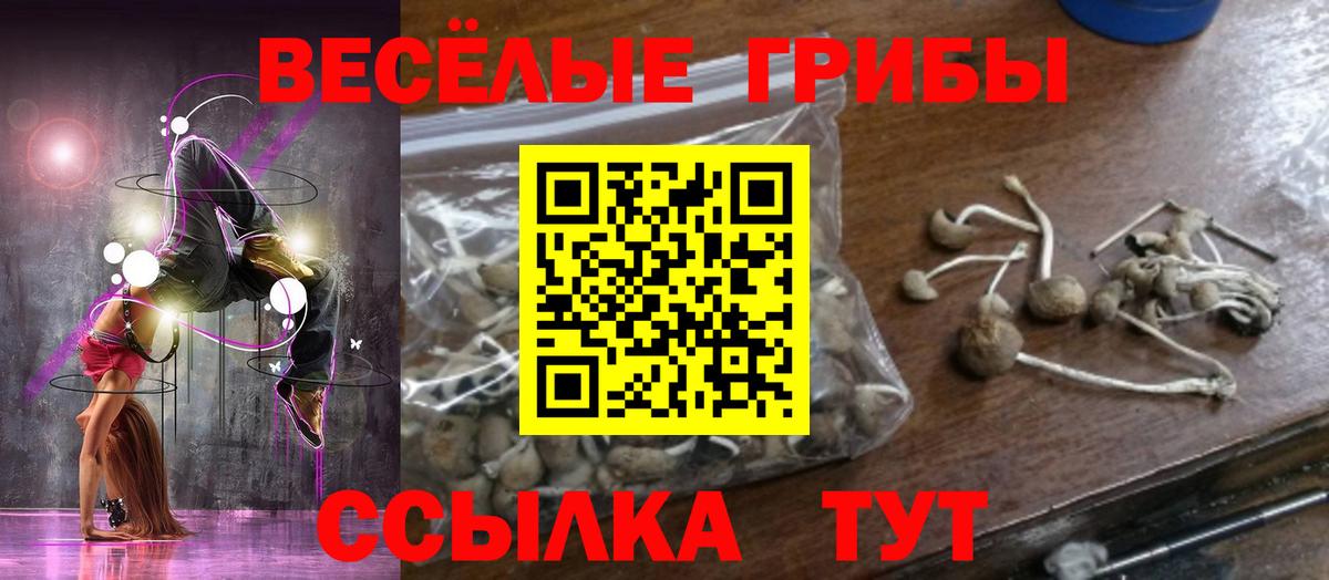 Псилоцибиновые грибы Magic Shrooms Избербаш